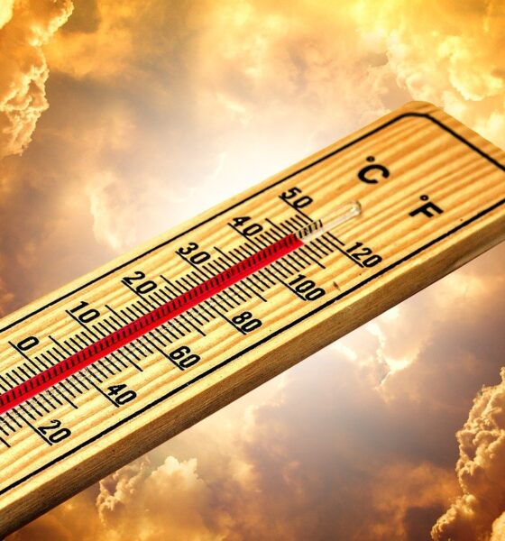 Nova onda de calor chega ao Brasil a partir do próximo domingo (18)